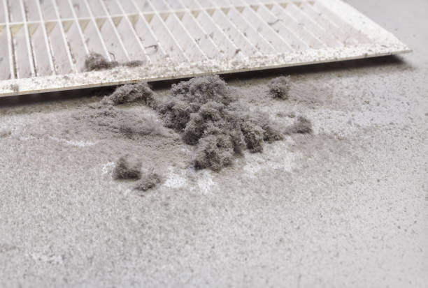 Best Ventilation Cleaning Services  in Walterboro, SC