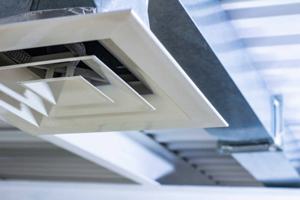 Best Air Duct Cleaning Company Near Me  in Walterboro, SC