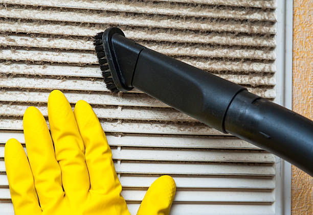 Best Affordable Air Duct Cleaning  in Walterboro, SC