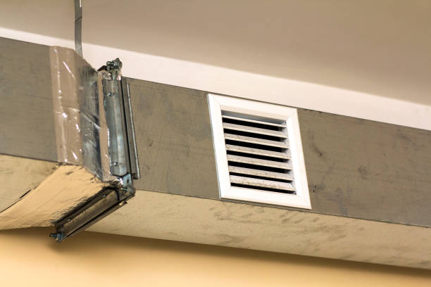 Best Commercial Air Duct Cleaning  in Walterboro, SC